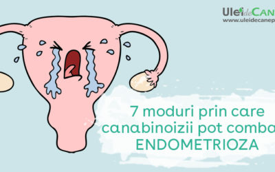 7 moduri prin care canabinoizii pot combate endometrioza
