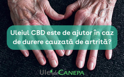Uleiul CBD este de ajutor în caz de durere cauzată de artrită?