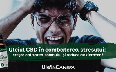Uleiul CBD în combaterea stresului: crește calitatea somnului și reduce anxietatea!