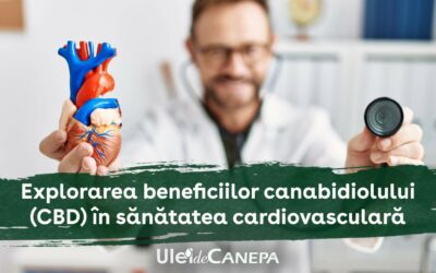 Explorarea beneficiilor canabidiolului (CBD) în sănătatea cardiovasculară