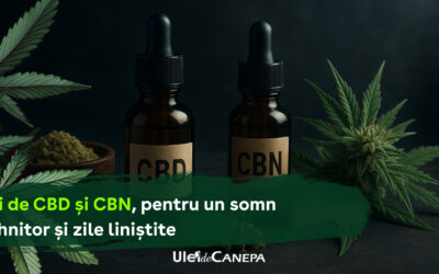 Ulei de CBD și CBN – ajutorul natural pentru un somn odihnitor și zile liniștite